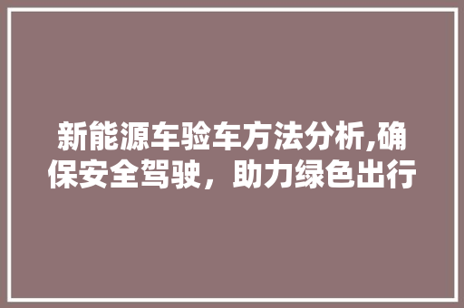 新能源车验车方法分析,确保安全驾驶，助力绿色出行