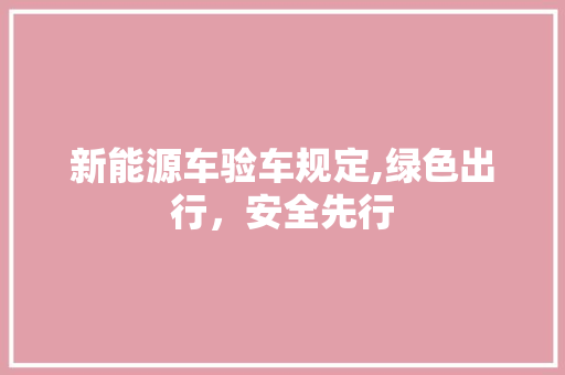 新能源车验车规定,绿色出行，安全先行