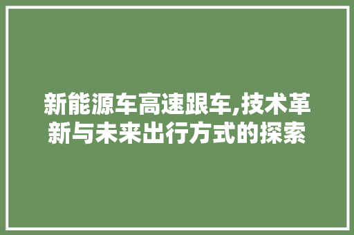 新能源车高速跟车,技术革新与未来出行方式的探索