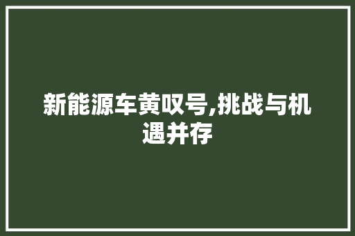 新能源车黄叹号,挑战与机遇并存