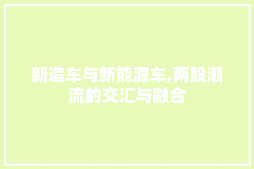 新造车与新能源车,两股潮流的交汇与融合  第1张