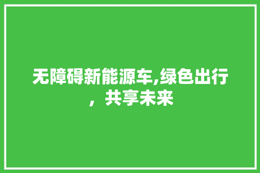 无障碍新能源车,绿色出行，共享未来