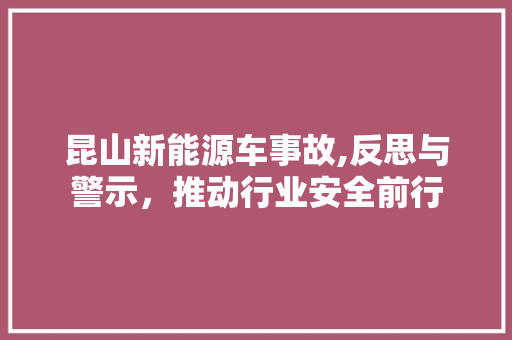 昆山新能源车事故,反思与警示，推动行业安全前行  第1张