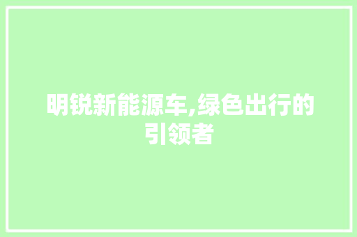 明锐新能源车,绿色出行的引领者  第1张