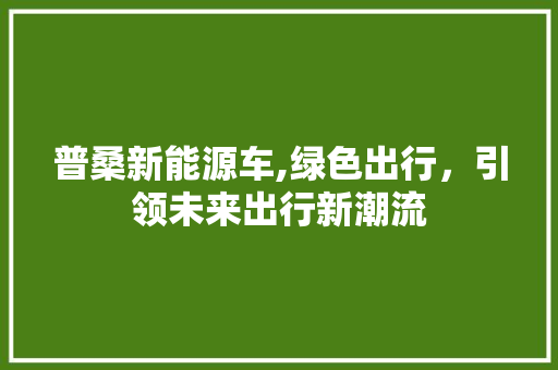 普桑新能源车,绿色出行，引领未来出行新潮流