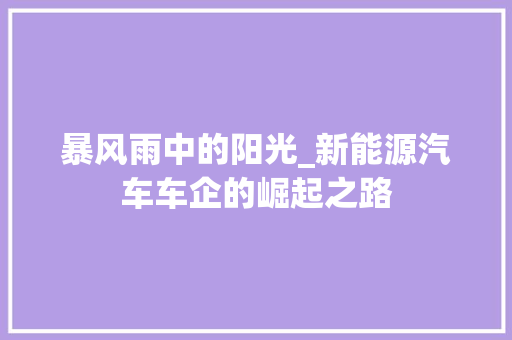 暴风雨中的阳光_新能源汽车车企的崛起之路