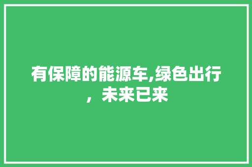 有保障的能源车,绿色出行，未来已来