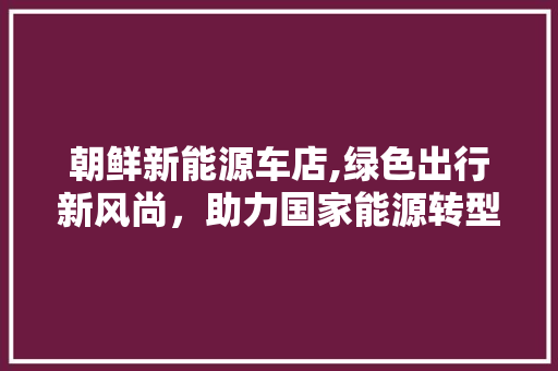 朝鲜新能源车店,绿色出行新风尚，助力国家能源转型