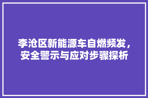 李沧区新能源车自燃频发，安全警示与应对步骤探析  第1张