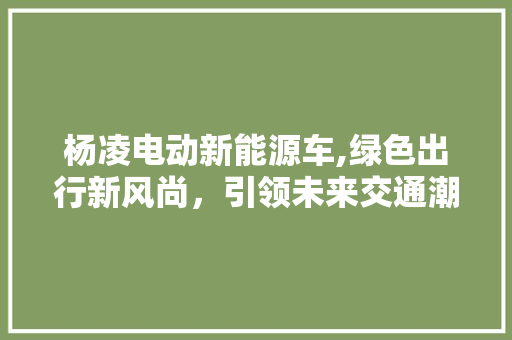 杨凌电动新能源车,绿色出行新风尚，引领未来交通潮流