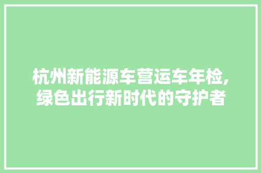 杭州新能源车营运车年检,绿色出行新时代的守护者