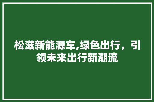 松滋新能源车,绿色出行，引领未来出行新潮流