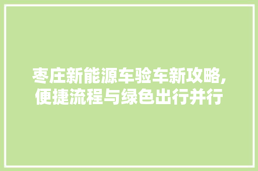 枣庄新能源车验车新攻略,便捷流程与绿色出行并行