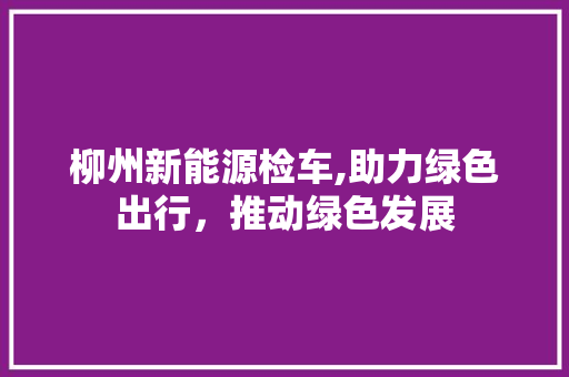 柳州新能源检车,助力绿色出行，推动绿色发展