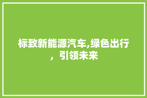 标致新能源汽车,绿色出行，引领未来