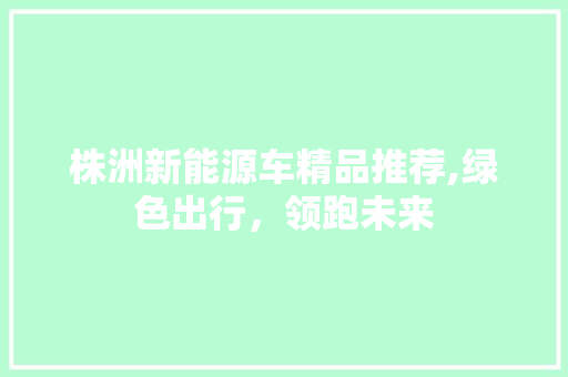 株洲新能源车精品推荐,绿色出行，领跑未来