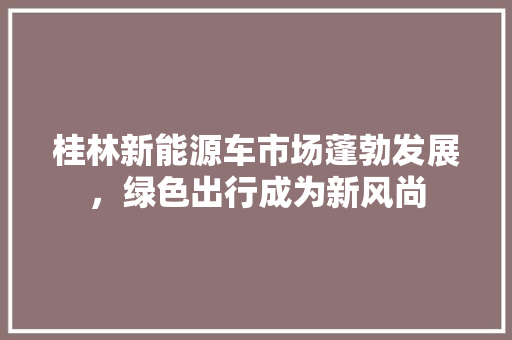 桂林新能源车市场蓬勃发展，绿色出行成为新风尚