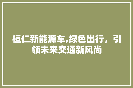 桓仁新能源车,绿色出行，引领未来交通新风尚