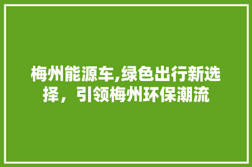 梅州能源车,绿色出行新选择，引领梅州环保潮流