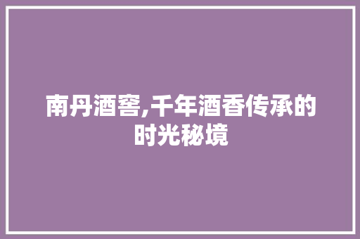 南丹酒窖,千年酒香传承的时光秘境