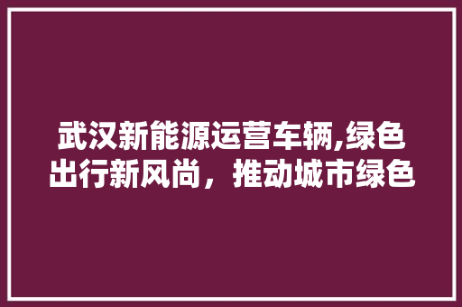 武汉新能源运营车辆,绿色出行新风尚，推动城市绿色发展