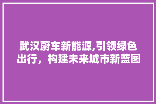 武汉蔚车新能源,引领绿色出行，构建未来城市新蓝图