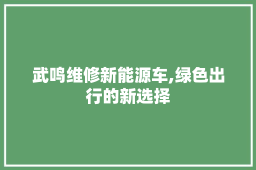 武鸣维修新能源车,绿色出行的新选择