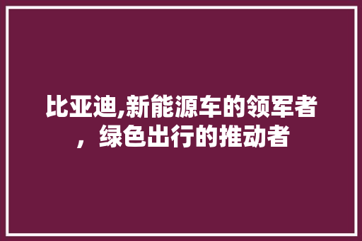 比亚迪,新能源车的领军者，绿色出行的推动者