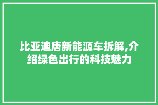 比亚迪唐新能源车拆解,介绍绿色出行的科技魅力