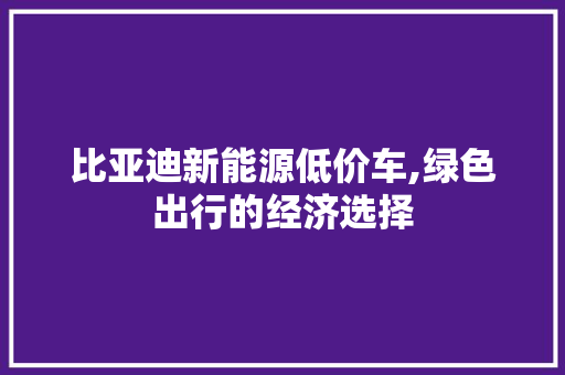 比亚迪新能源低价车,绿色出行的经济选择