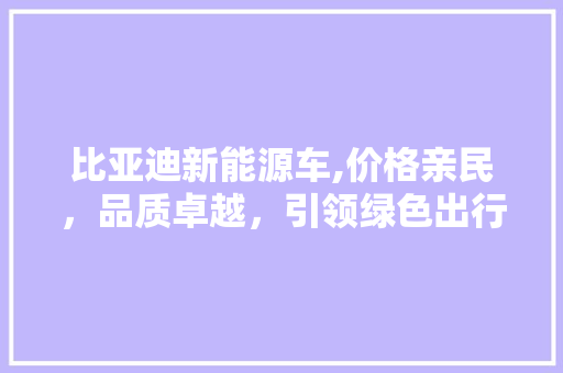 比亚迪新能源车,价格亲民，品质卓越，引领绿色出行新潮流