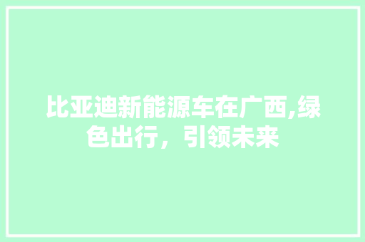 比亚迪新能源车在广西,绿色出行，引领未来