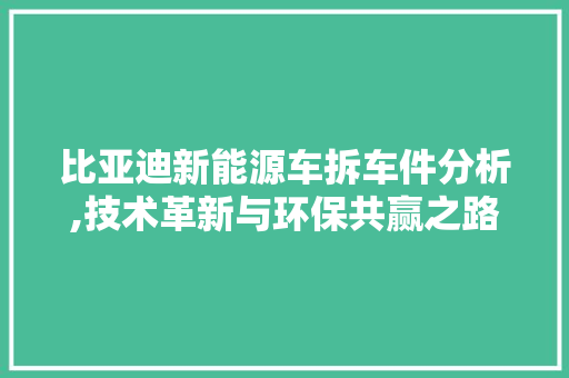 比亚迪新能源车拆车件分析,技术革新与环保共赢之路