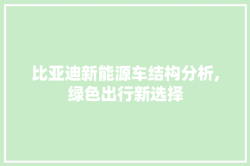 比亚迪新能源车结构分析,绿色出行新选择