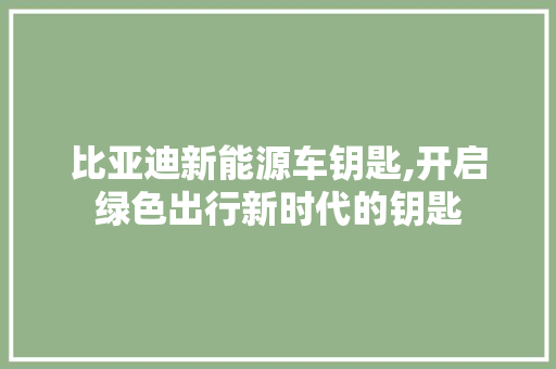 比亚迪新能源车钥匙,开启绿色出行新时代的钥匙