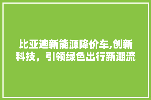 比亚迪新能源降价车,创新科技，引领绿色出行新潮流