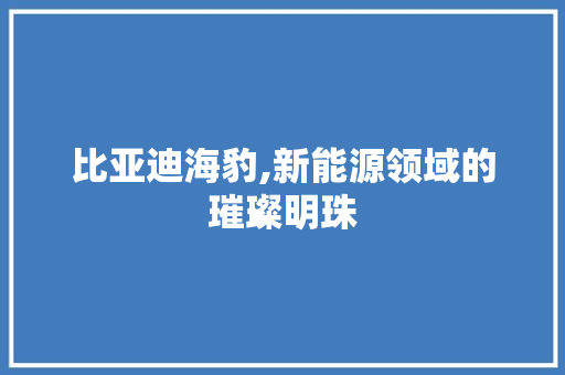 比亚迪海豹,新能源领域的璀璨明珠