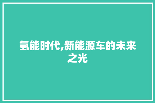 氢能时代,新能源车的未来之光