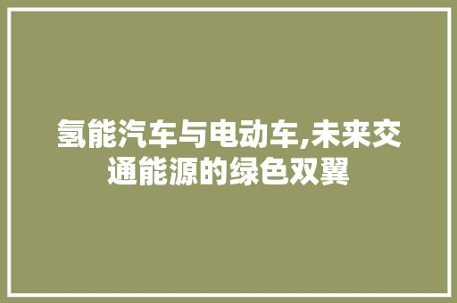 氢能汽车与电动车,未来交通能源的绿色双翼