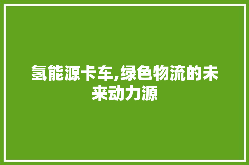 氢能源卡车,绿色物流的未来动力源