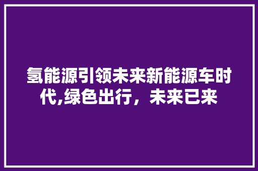 氢能源引领未来新能源车时代,绿色出行，未来已来