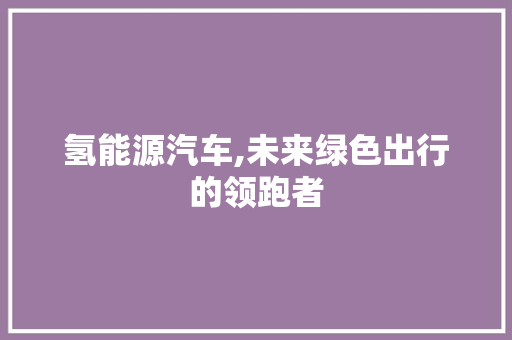 氢能源汽车,未来绿色出行的领跑者  第1张