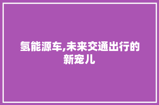 氢能源车,未来交通出行的新宠儿