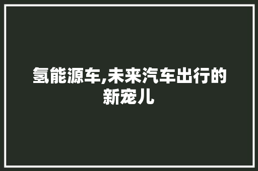 氢能源车,未来汽车出行的新宠儿