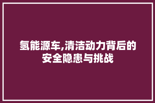 氢能源车,清洁动力背后的安全隐患与挑战