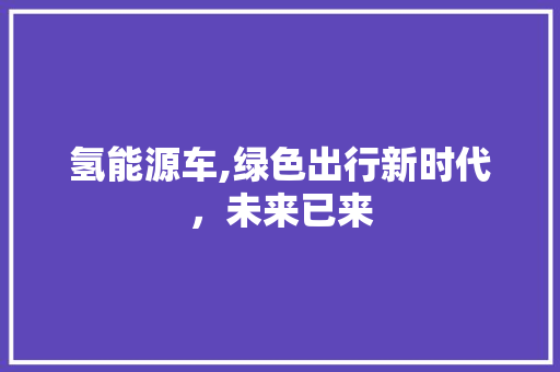 氢能源车,绿色出行新时代，未来已来