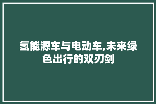 氢能源车与电动车,未来绿色出行的双刃剑