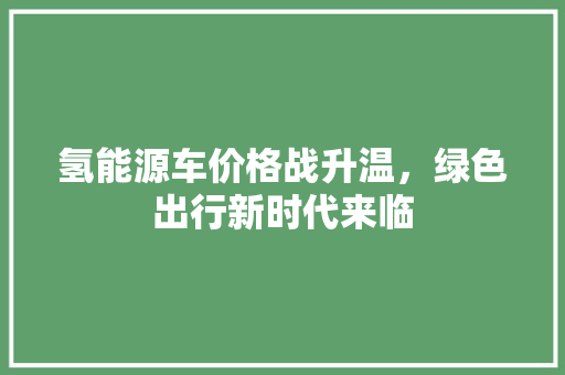 氢能源车价格战升温，绿色出行新时代来临