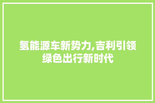 氢能源车新势力,吉利引领绿色出行新时代  第1张