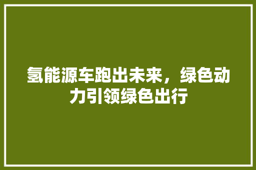 氢能源车跑出未来，绿色动力引领绿色出行  第1张